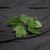 Crafting Leaves Green (Pack of 100)