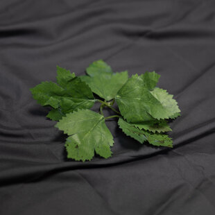 Crafting Leaves Green (Pack of 100)