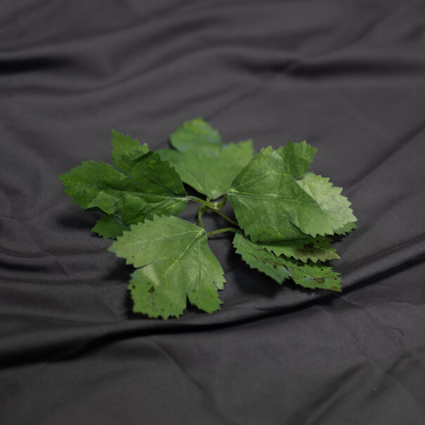 Unique Crafting Leaves Green (Pack of 100)