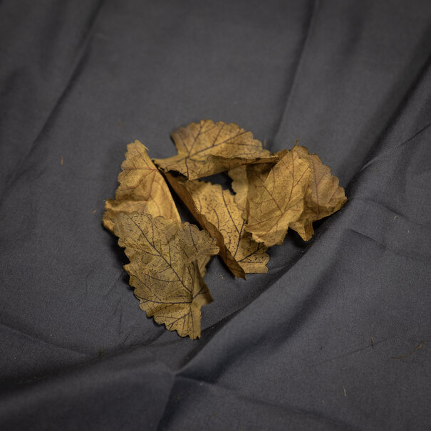 Unique Crafting Leaves Brown