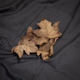 Crafting Leaves Brown