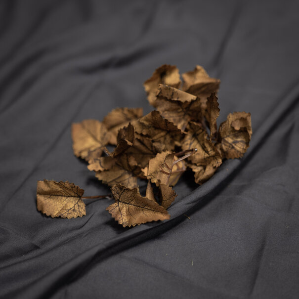 Unique Crafting Leaves Brown
