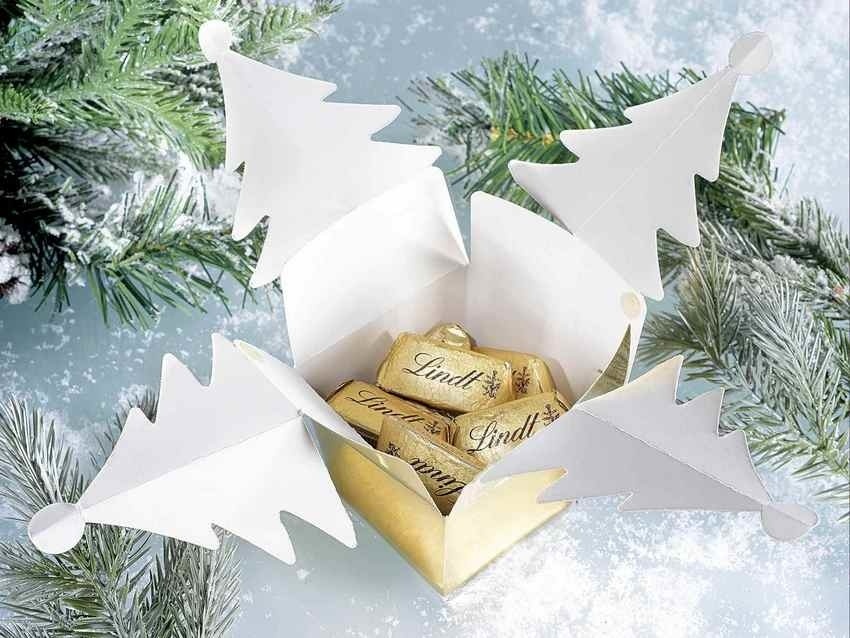 https://cdn.webshopapp.com/shops/353473/files/450595700/file.jpg