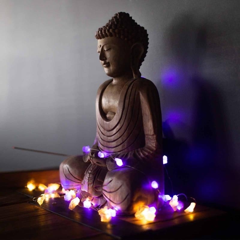 https://cdn.webshopapp.com/shops/353473/files/450597286/file.jpg