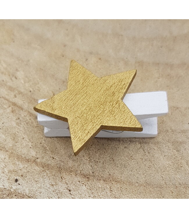 Knijper met Ster Goud 5 stuks