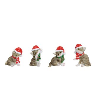 Kat met kerstmuts