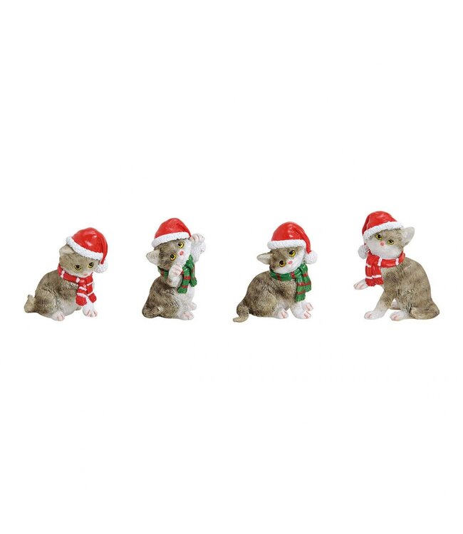 Kat met kerstmuts