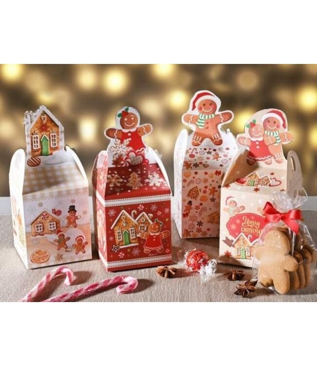 Biscuits-peperkoek doosje