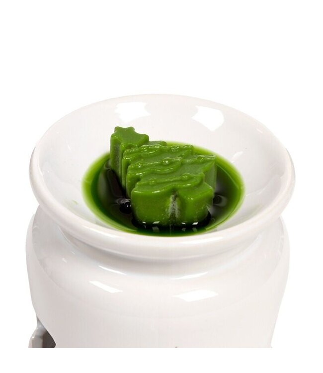 Winterkruiden Botanische Kerstmis Set 5 Waxmelts