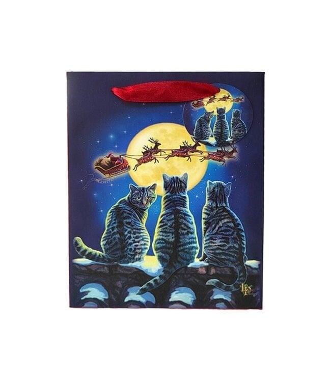 Kerstmis Katten - Cadeautasje