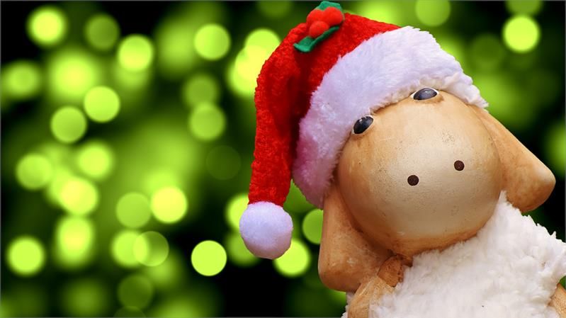 Kerstmutsen