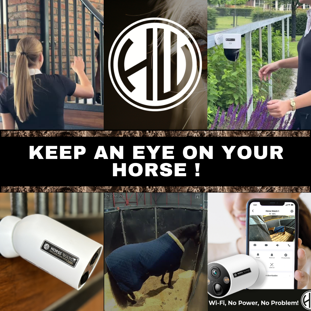 Het Ultieme Gemak van de Horse Watch Pro: Stalcamera Zonder Wifi of Stroom