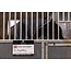 Horse Watch magnetisch Stalbord | BE