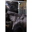 HORSE WATCH PORTABLE CAMERA | CAMERA ONLY