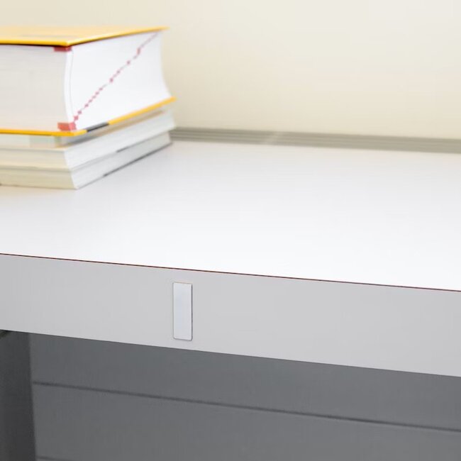 Set van 2 platte zelfklevende magneten voor Horse Watch Travel camera (camera)