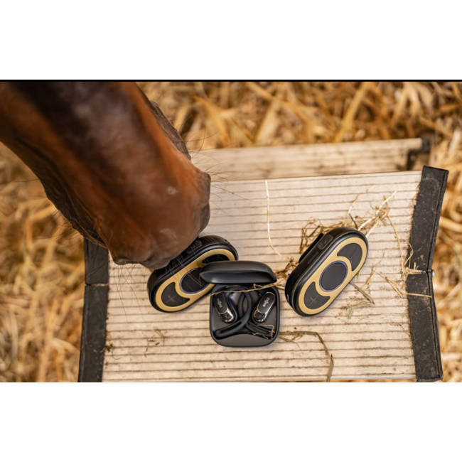 CEECOACH PLUS DUO–Gold  Altijd in contact, zonder storingen