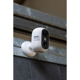 Horse Watch HORSE WATCH BULLET PACKAGE WHITE