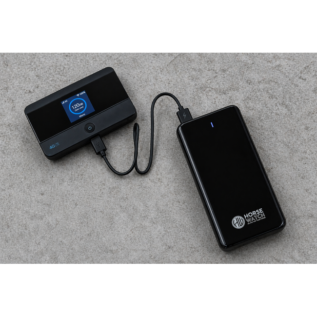 Powerbank 20.000 mAh