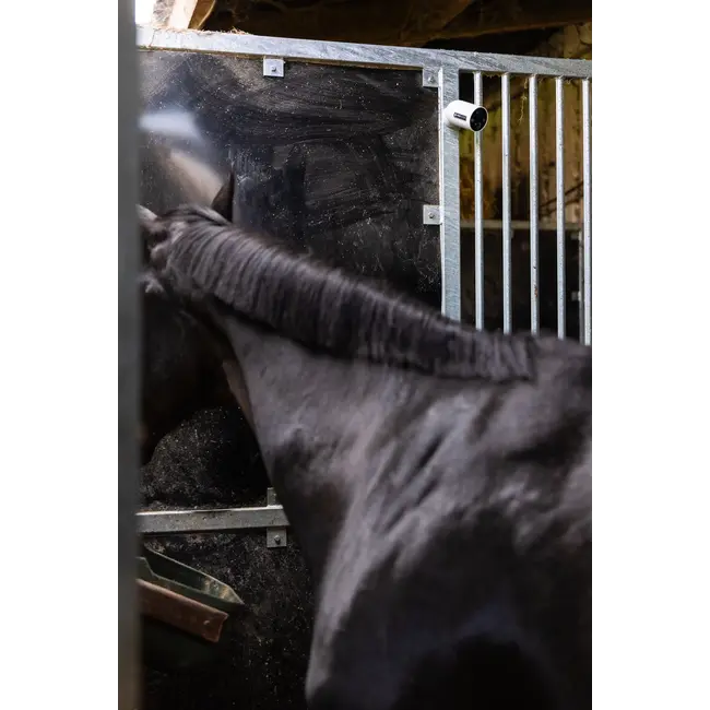 Horse Watch Pro Competition package – ONE CAMERA