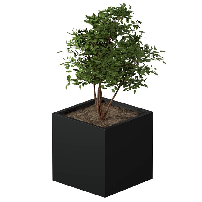Stalen plantenbak gepoedercoat vierkant 80x80x80 cm