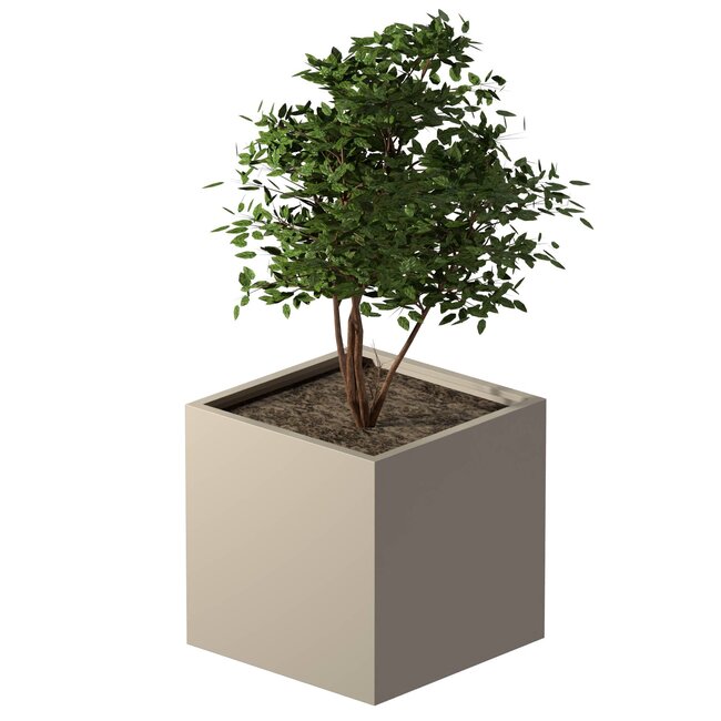 Stalen plantenbak gepoedercoat vierkant 80x80x80 cm