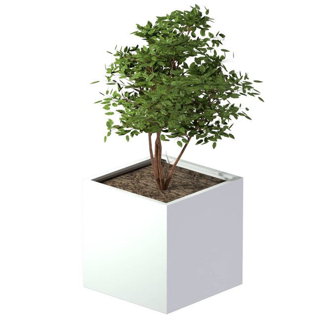 Stalen plantenbak gepoedercoat vierkant 80x80x80 cm
