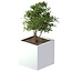 Stalen plantenbak gepoedercoat vierkant 80x80x80 cm