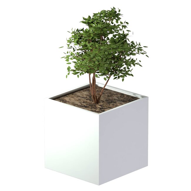 Stalen plantenbak gepoedercoat vierkant 100x100x100 cm