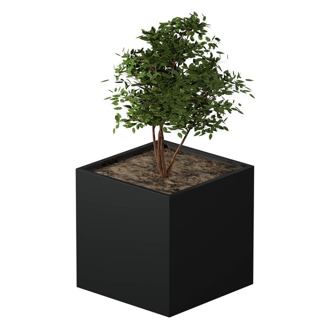 Stalen plantenbak gepoedercoat vierkant 100x100x100 cm