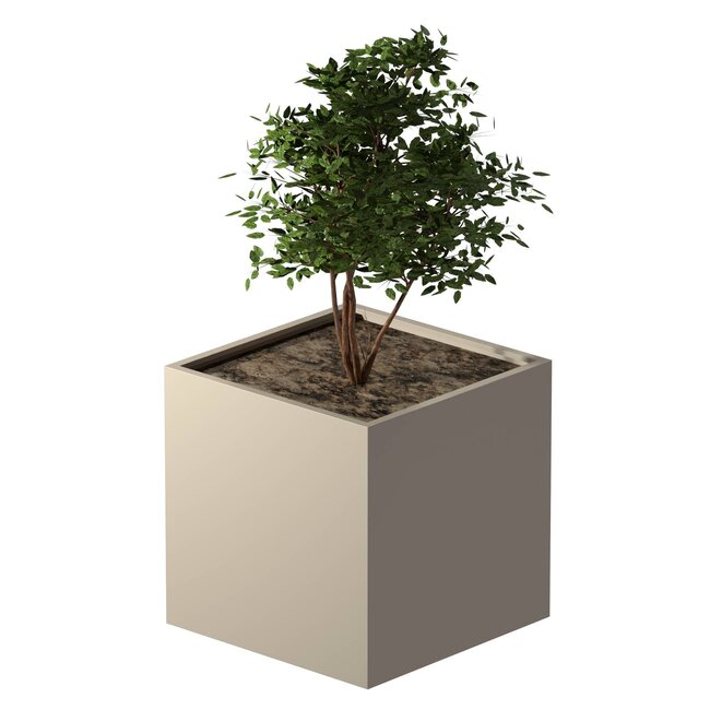 Stalen plantenbak gepoedercoat vierkant 100x100x100 cm