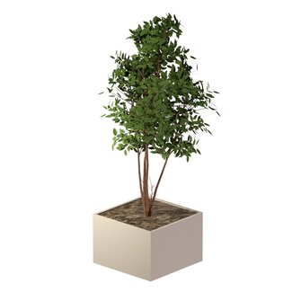 Stalen plantenbak gepoedercoat 120x120x80 cm | Premium