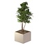 Stalen plantenbak gepoedercoat vierkant 120x120x100 cm | Premium