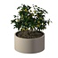 Stalen plantenbak rond gepoedercoat | Ø 100x50 cm