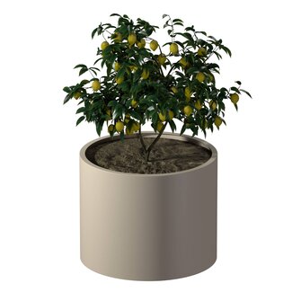 Stalen plantenbak rond gepoedercoat | Ø 100x80 cm