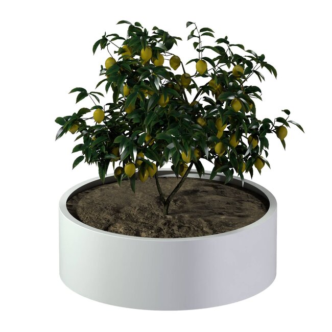 Stalen plantenbak rond gepoedercoat | Ø 120x40 cm