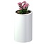 Stalen plantenbak rond gepoedercoat | Op maat