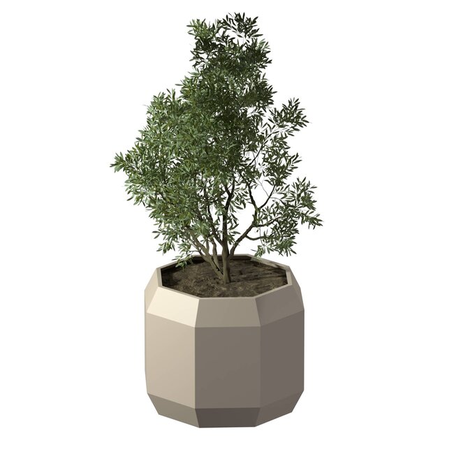 Stalen plantenbak Carpi gepoedercoat | Ø 100x80 cm