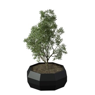 Stalen plantenbak Carpi gepoedercoat | Ø 120x50 cm