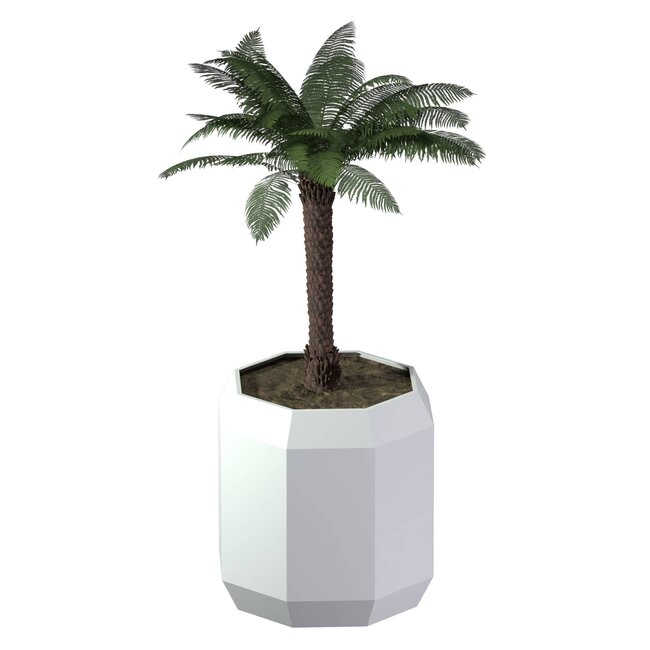 Stalen plantenbak Carpi gepoedercoat | Ø 120x120 cm