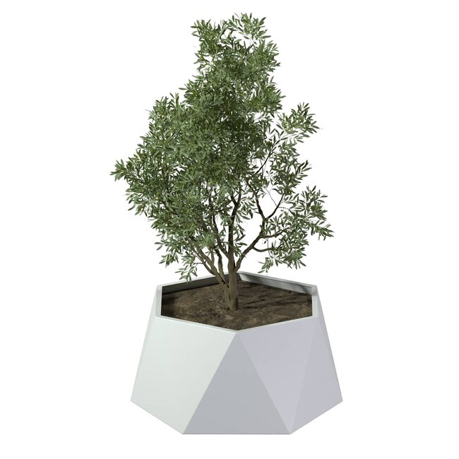 Stalen plantenbak Pisa gepoedercoat | Ø 80x40 cm