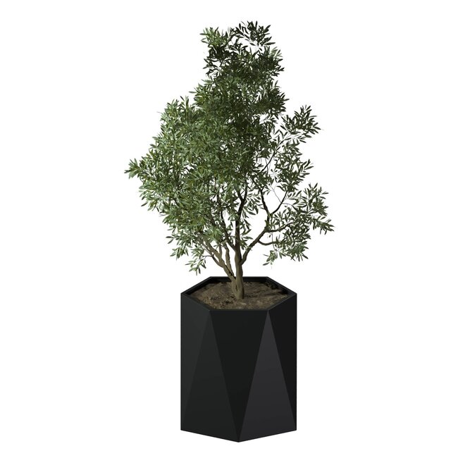 Stalen plantenbak Pisa gepoedercoat | Ø 80x80 cm