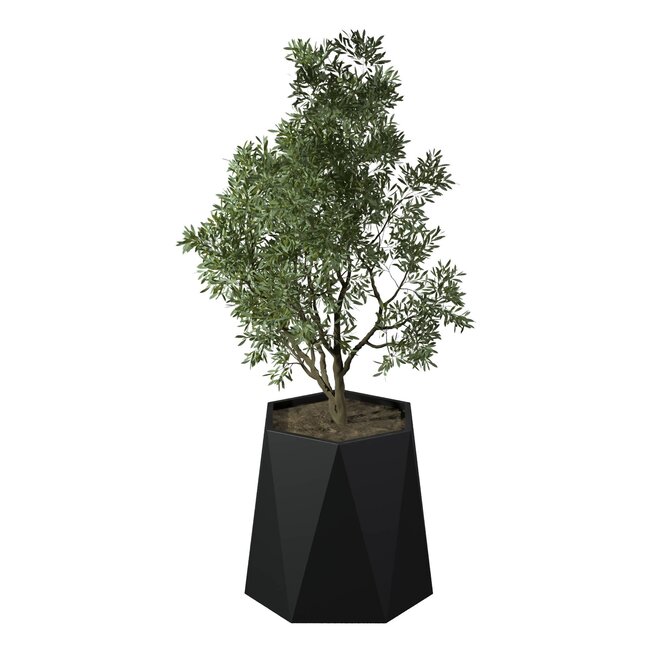 Stalen plantenbak Pisa gepoedercoat | Ø 80x80 cm