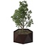 Stalen plantenbak Pisa gepoedercoat | Ø 120x50 cm