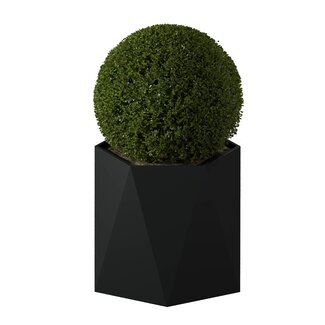 Stalen plantenbak Pisa gepoedercoat | Ø 120x100 cm