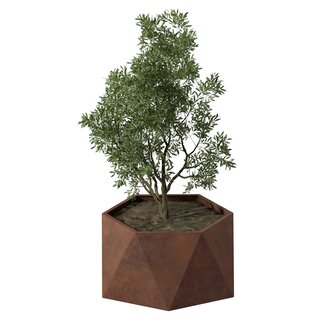 Stalen plantenbak Pisa cortenstaal | Ø 80x40 cm