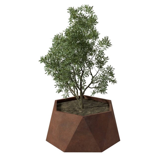 Stalen plantenbak Pisa cortenstaal | Ø 80x40 cm