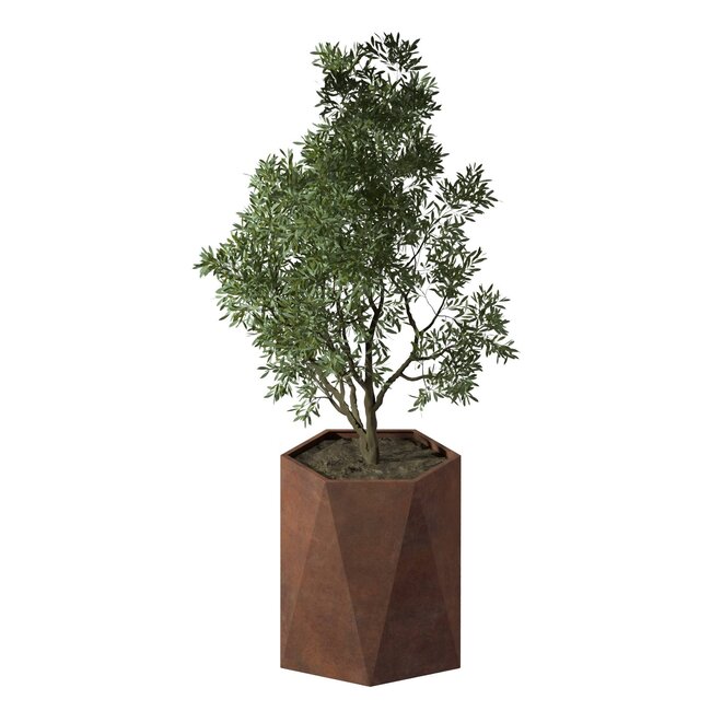 Stalen plantenbak Pisa cortenstaal | Ø 80x80 cm