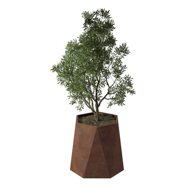 Stalen plantenbak Pisa cortenstaal | Ø 80x80 cm