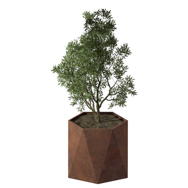 Stalen plantenbak Pisa cortenstaal | Ø 100x80 cm