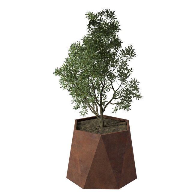 Stalen plantenbak Pisa cortenstaal | Ø 100x80 cm